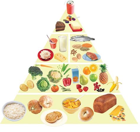 LEARN : Food Diagram | Quizlet
