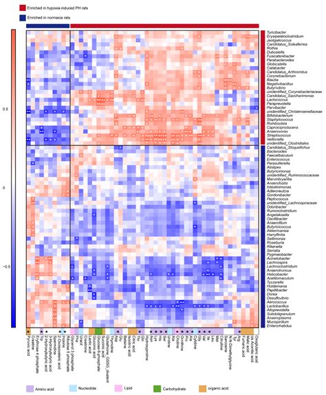 Gut Microbiota and Metabolome Changes in Three Pulmonary Hypertension ...