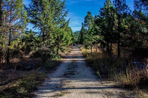 PALOOZA BASECAMP & EATERY (Cascade) - Inn Reviews & Photos - Tripadvisor