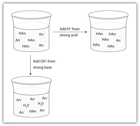 Acids and Bases