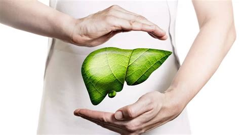 world hepatitis day 2023 date theme, history and importance know Why is ...