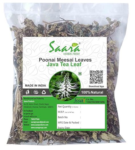 Saara HERBAL FRESH Poonai Meesai Leaf, Seraga Thulasi, Java Tea Leaf ...