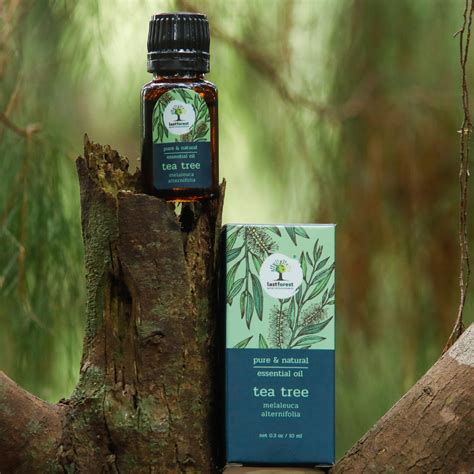 Essential Oils – Last Forest