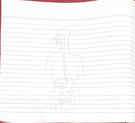 Image result for Chart Science for 10 Class