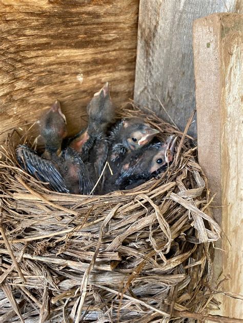 THE LOOKOUT INN (New Glasgow) - B&B Reviews & Photos - Tripadvisor