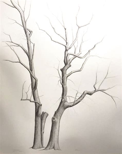 Image result for Plastic Tree Drawing