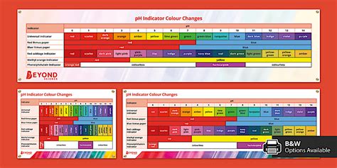 Image result for ph indicator chart printable