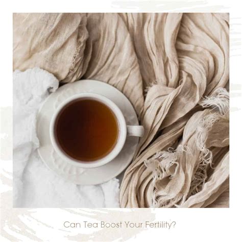 The Best Herbal Teas To Increase Fertility