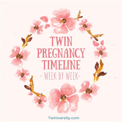 What Is The Average Length of Twin Pregnancy | Twiniversity #1 Parenting Twins Site