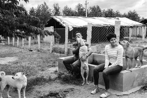 The Voice of Stray Dogs | LBB