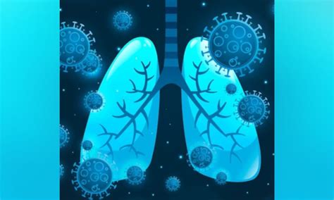 More lung cell types infected by SARS-CoV-2 than previously thought: Study