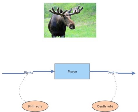 Modeling Exponential Growth 的图像结果