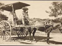 Image result for Quarry Code SQL