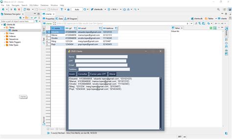 SQLite3 Python CRUD 的图像结果