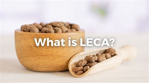 How to Use Leca 的图像结果