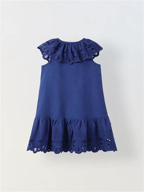 Blue Cotton Round Neck Schiffli Dress For Girls – Spunkies