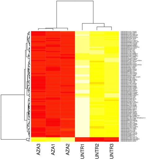 Image result for Python Heatmap RNA-Seq