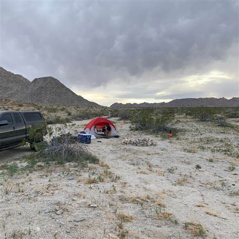 Sheephole Valley Wilderness Camping | The Dyrt