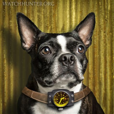 Watch Dog Gallery - Watch Hunter - Watch Reviews, Photos and Articles