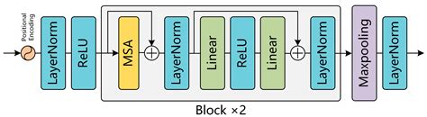TDMSANet: A Tri-Dimensional Multi-Head Self-Attention Network for ...