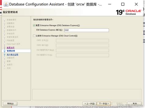 Oracle Database 19C Tutorial 的图像结果
