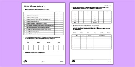 Utliser un dictionnaire bilingue (teacher made) - Twinkl
