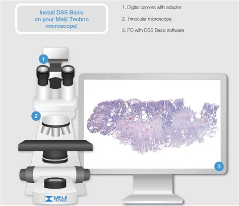 DSS Tutorial 的图像结果