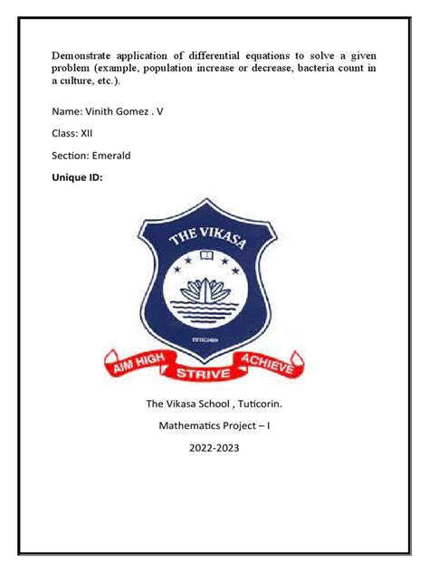 Image result for Maths Project File