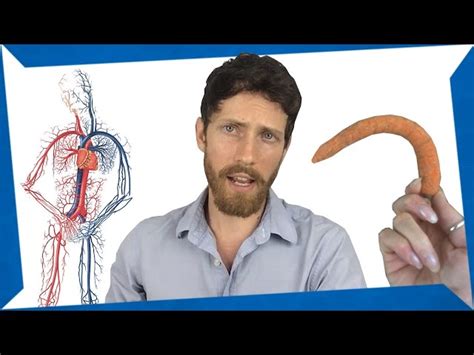 Erectile Dysfunction: Cause And Cure | Not Clickbait [542867]