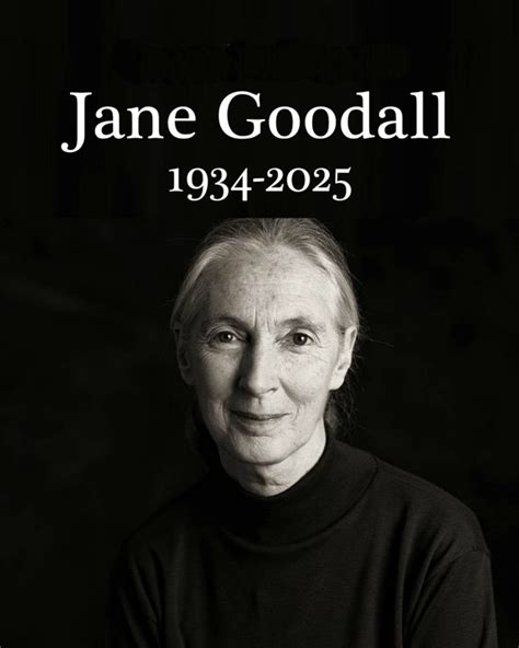 Muere Jane Goodall, La Científica Que Cambió Para Siempre La Forma De ...