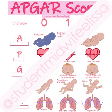 Image result for Apgar Score Notes