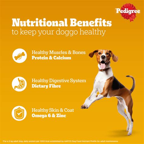 Pedigree Roasted Lamb Flavour Chunks in Gravy Adult Dog Wet Food ...