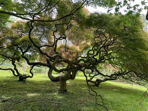 Nature Writing Series: Encountering Nature Indoors — Immersive Workshop ...