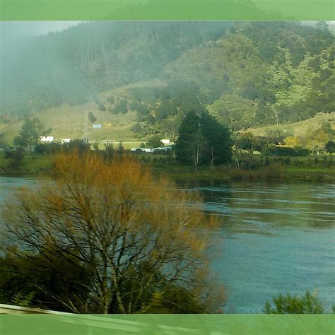 TE HUIA TRAIN (2026) All You Need to Know BEFORE You Go (with Photos ...