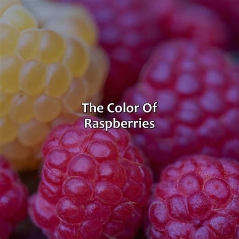 What Color Are Raspberries - colorscombo.com