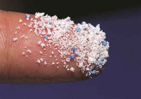 Plastic Has Finally Got Into Our Bodies, Maintaining In Organs And ...