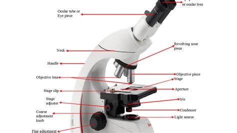 Light Source Microscope 的图像结果