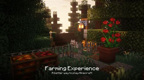 Image result for Experience Mod FS19