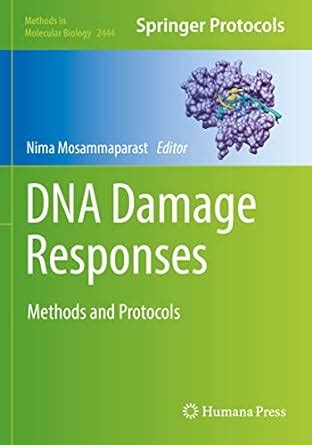 Buy DNA Damage Responses: Methods and Protocols: 2444 (Methods in ...