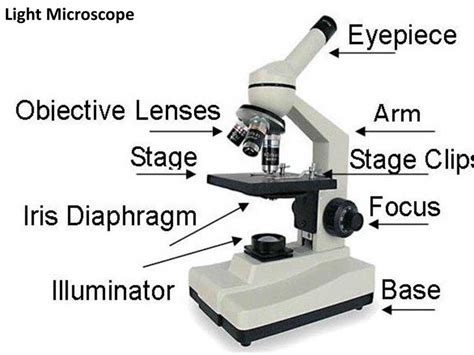Image result for Lab Week Microscope