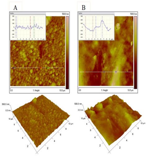 Comparative Corrosion Characterization of Hybrid Zinc Coatings in Cl− ...