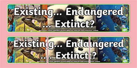 Existing Endangered Extinct Photo Display Banner - Twinkl