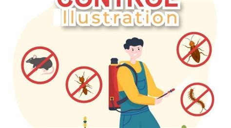 After Pest Control: Top 10 Must-Do Steps to Keep Your Home Pest-Free ...