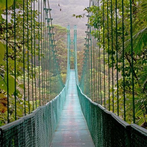 ROADBLOCK - sliding puzzle on Sliding Tiles