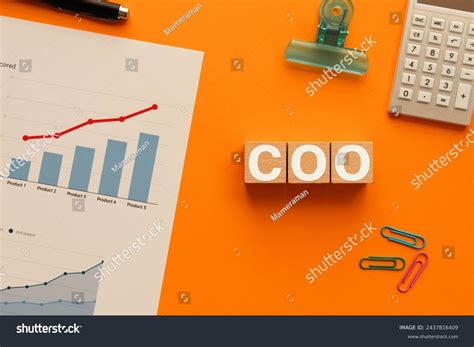 Chief Operating Officer 的图像结果