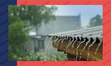 Cold Wave Continues In Delhi: IMD Forecasts Rain, Alerts Issued For ...