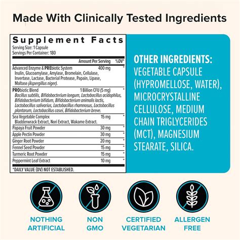 ZenwiseHealth Zenwise Probiotic Digestive Multi Enzymes - Gut India | Ubuy