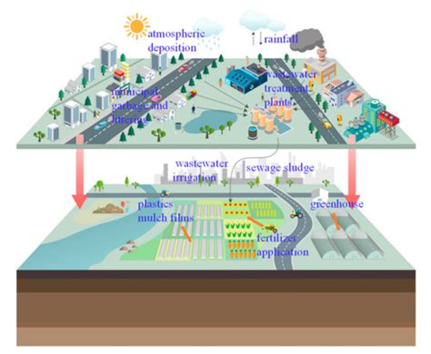 Sustainability | Special Issue : Microplastic Pollution and Impact