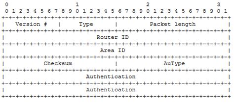 Image result for Ospf Header Format Example Step by Step