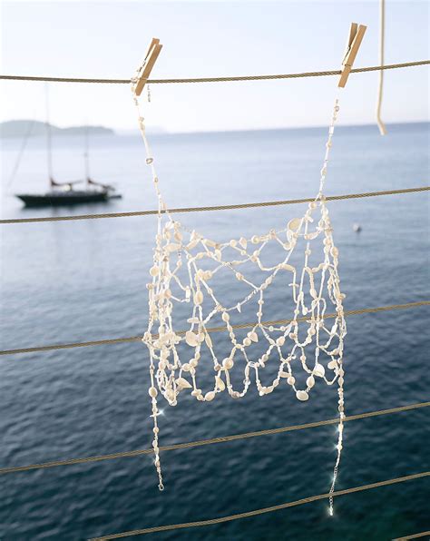 Sea Shell Collections 的图像结果